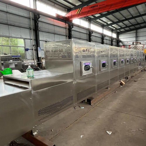 谷物微波烘焙熟化設(shè)備科爾核桃微波干燥設(shè)備